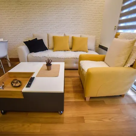 S1-1 ズラティボール