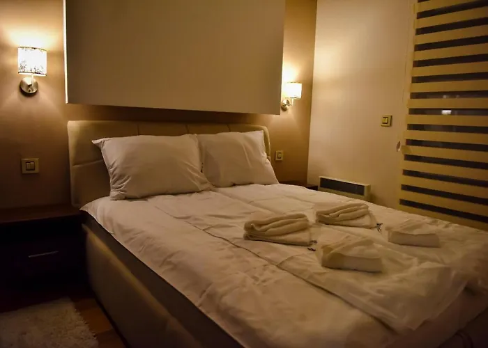 S1-1 * 兹拉蒂博尔